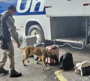 Brigada Militar realiza operação para coibir entrada de drogas no Litoral Norte