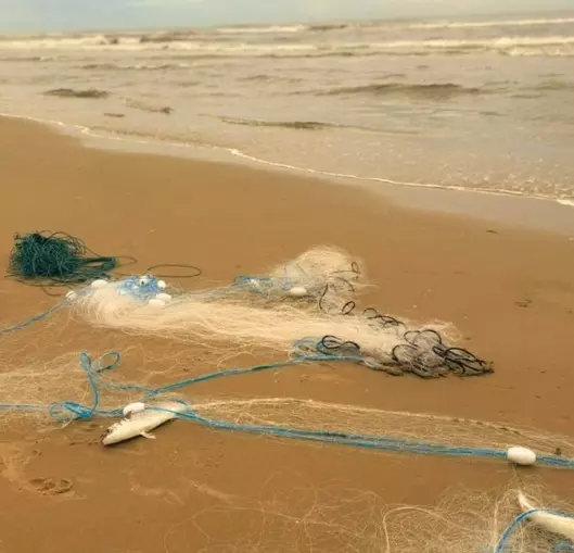 Pesca irregular em Imbé mobiliza Brigada Militar e resulta em apreensão