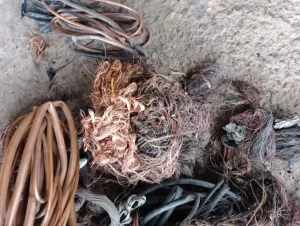 Pessoa é presa por roubo de fios de cobre em Capão da Canoa