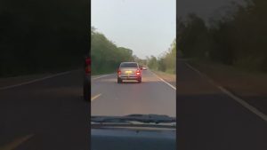 RS-239: vídeo registra colisão fatal e mobiliza resgate em Taquara