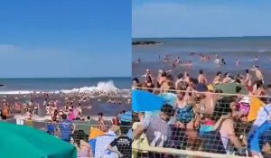 Fenômeno raro do mar deixa um morto e dezenas de feridos no litoral da Argentina