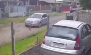 Homem é preso após atropelar e matar cachorro em Capão da Canoa