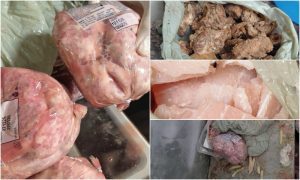 Fiscalização apreende meia tonelada de alimentos impróprios e interdita locais em Osório