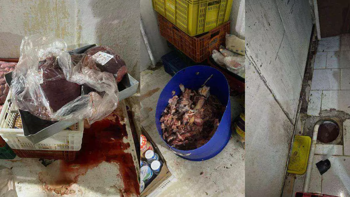 Fiscalização descarta quase duas toneladas de alimentos e interdita locais no Litoral Norte