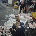 Força-Tarefa apreende quase 9 toneladas de carnes e pescados impróprios em supermercado de Imbé 2