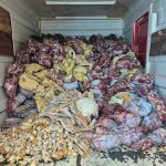 Força-Tarefa apreende quase 9 toneladas de carnes e pescados impróprios em supermercado de Imbé 3