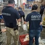 Força-Tarefa apreende quase 9 toneladas de carnes e pescados impróprios em supermercado de Imbé 4