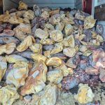 Força-Tarefa apreende quase 9 toneladas de carnes e pescados impróprios em supermercado de Imbé 5