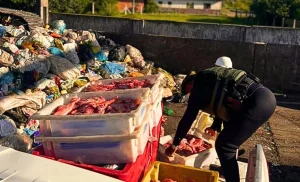 Polícia Ambiental apreende 1,3 tonelada de pescado impróprio para consumo em Tramandaí
